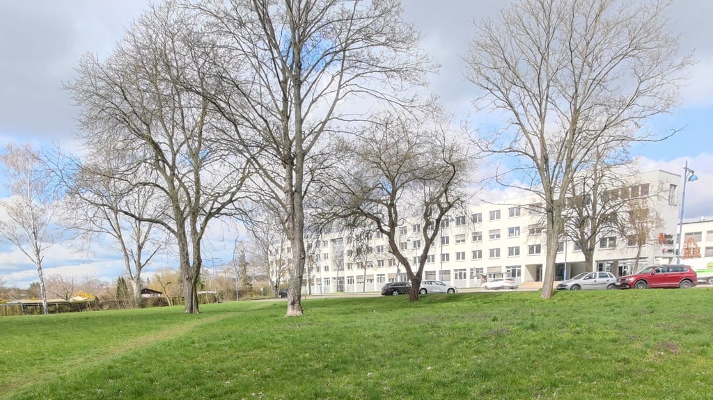 Blick auf das künftige Bauland in Sangerhausen.