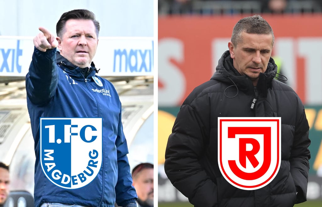 FCM-Trainer Christian Titz und der Coach von Jahn Regensburg, Mersad Selimbegovic.
