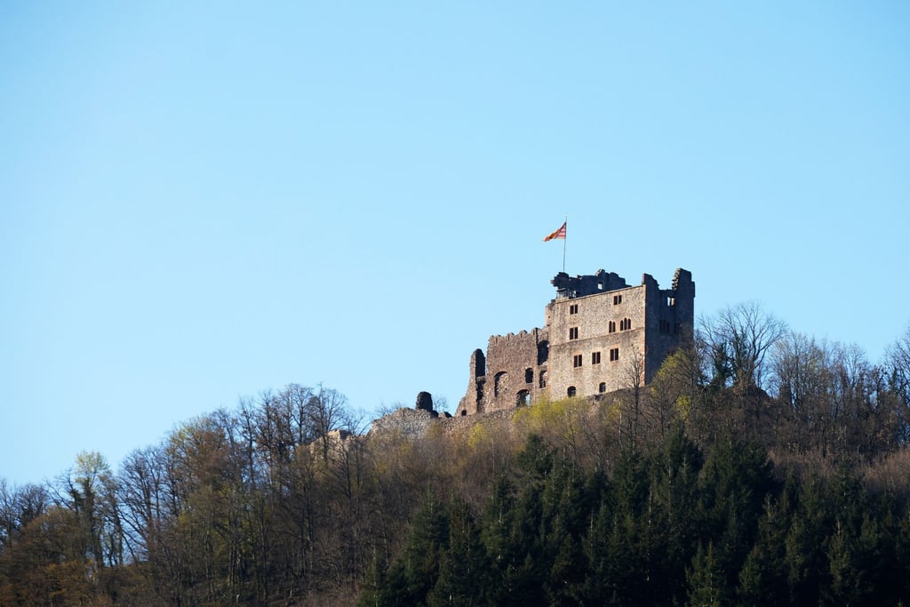 Die Burg Hohengeroldseck steht auf einem Berg oberhalb von Seelbach. Ein neues Kultur- und Tourismusprojekt stellt die Oberrheinregion grenzüberschreitend als „Land der Burgen“ heraus.