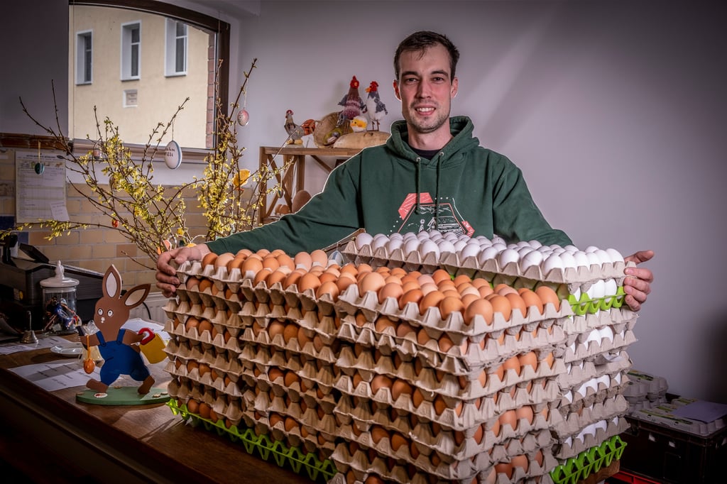 Rund 1.500 Eier legen die Hühne von Philipp Zimmermann jeden Tag.