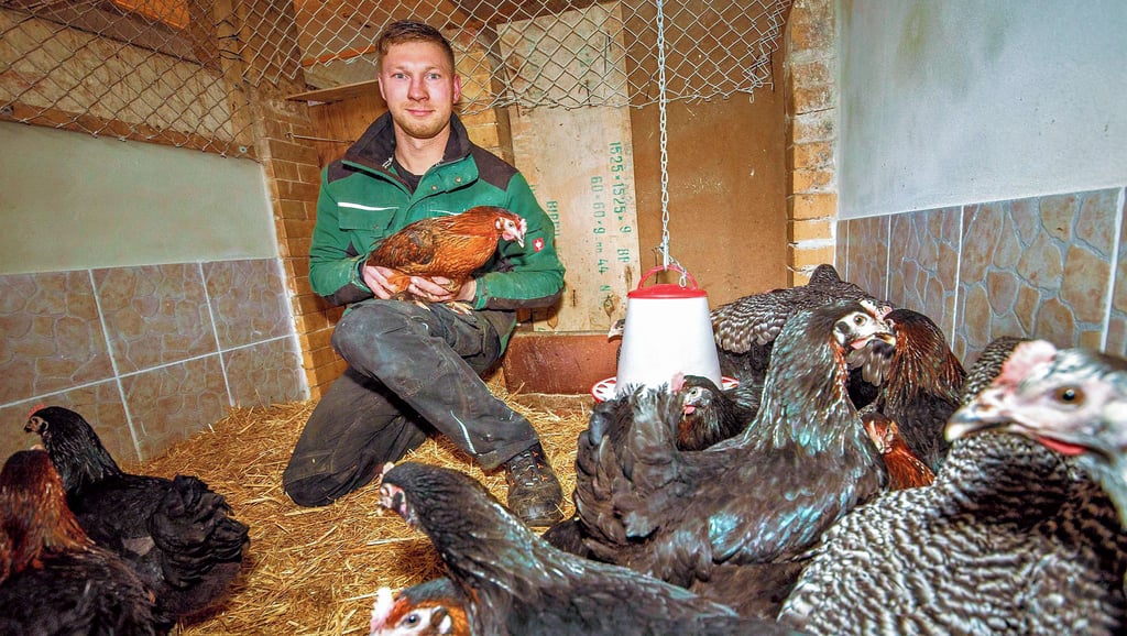 Auf dem Geflügelhof Lonzig hält Florian Sonntag Rassehühner, die sogar bunte Eier legen.