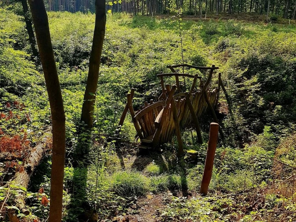 Kleine Brücke im Zeitzer Forst bei Ossig