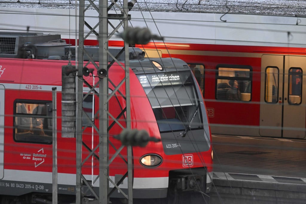 S-Bahn Züge fahren am Bahnhof ein.