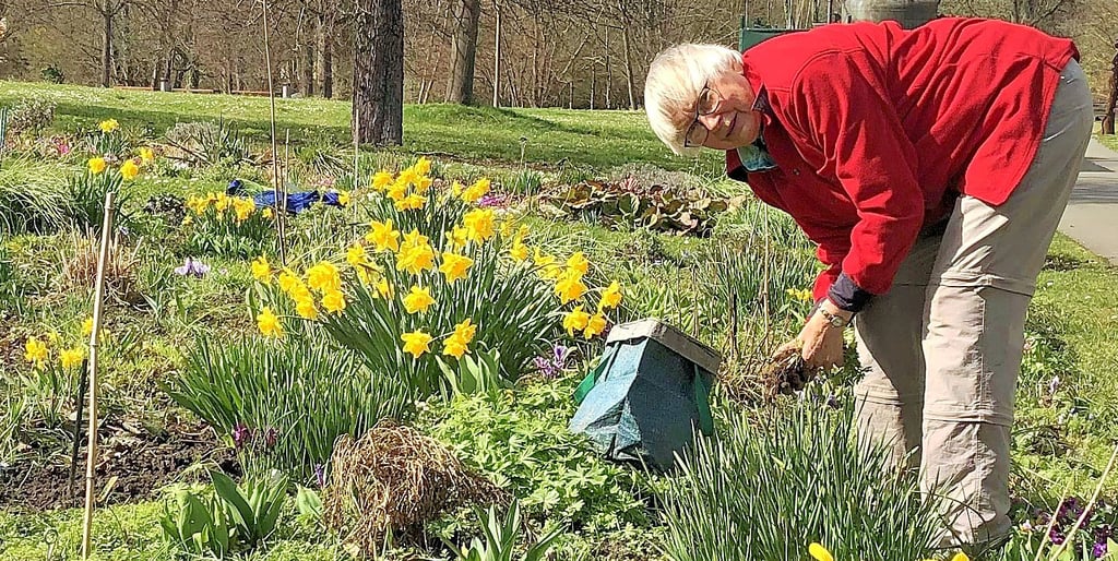 Ilse Manske ist seit 2005 Pflegepatin und macht ihre 60 Quadratmeter im Schlosspark Moritzburg zu einem Hingucker.