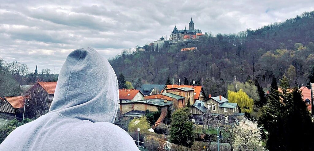 Therapie mit Aussicht: Im Wernigeröder Helmut-Kreutz-Haus hat sich Martin B. mittlerweile gut eingelebt.