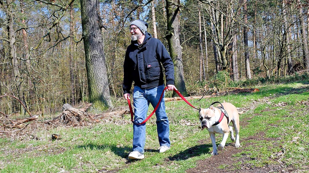 Bis zum 15. Juli müssen Hunde in Sachsen-Anhalts Wäldern an der Leine geführt werden.