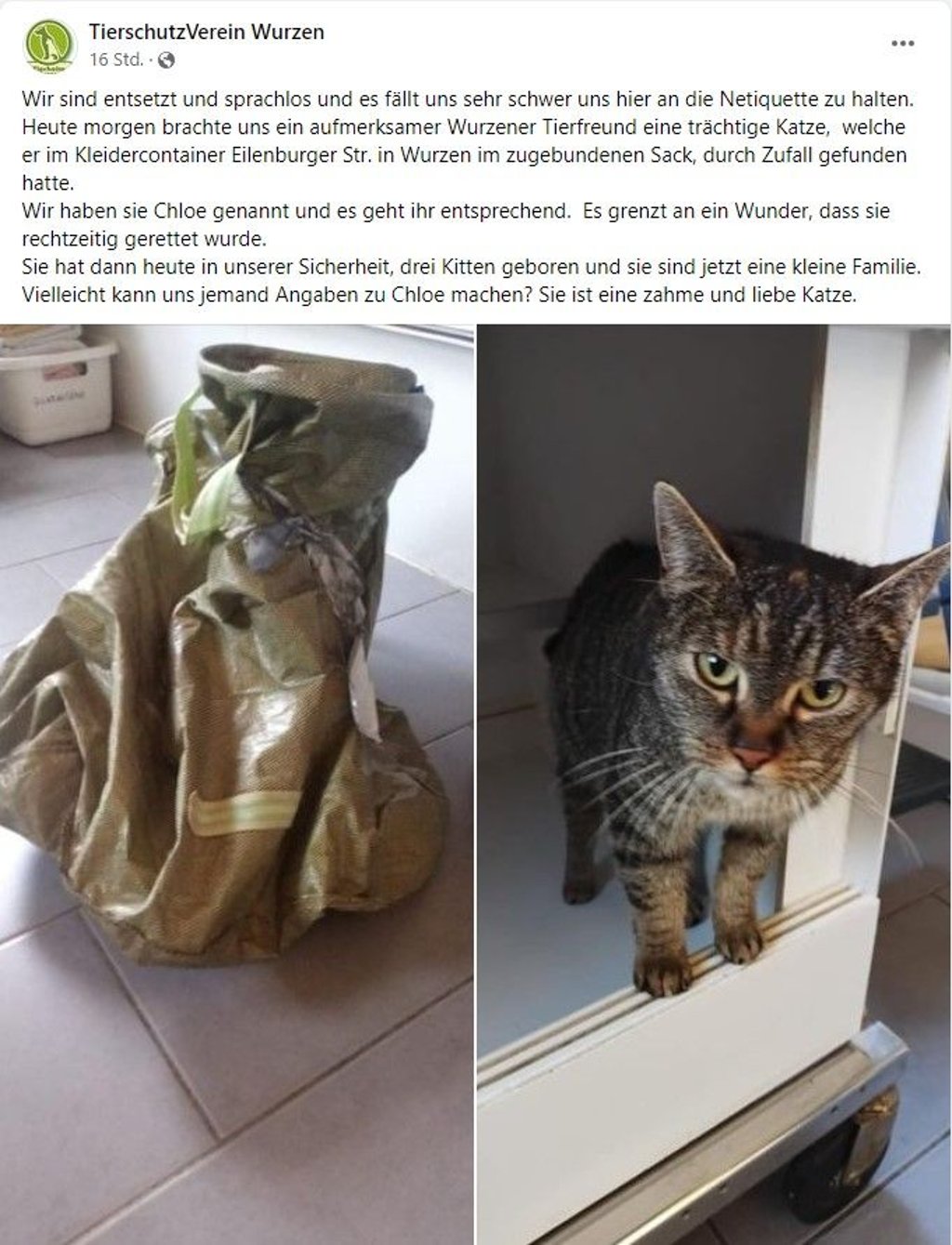 "Chloe" wurde in einem zugeschnürten Sack in einem Kleidercontainer gefunden.
