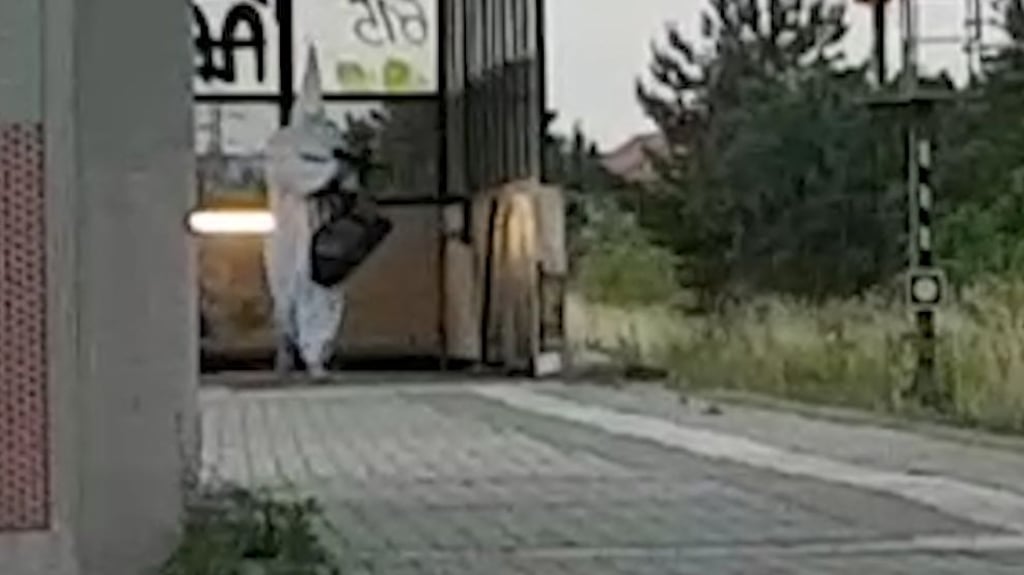 Ein mit weißem Umhang und weißer Kapuze verkleideter Mann schoss am 18. Juni 2021 mit einer Paintballwaffe auf Besucher des Bahnhofs Seehausen.