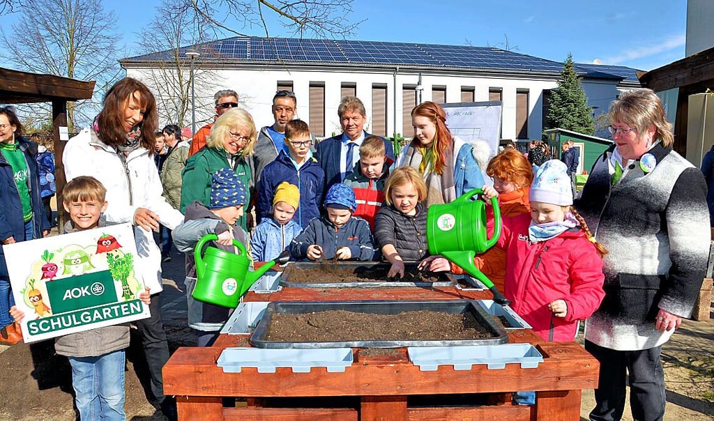 In der Zerbster Schule „Am Heidetor“ startete jetzt das Schulgarten-Projekt „Kleines Gemüse ganz groß“ der AOK Sachsen-Anhalt.
