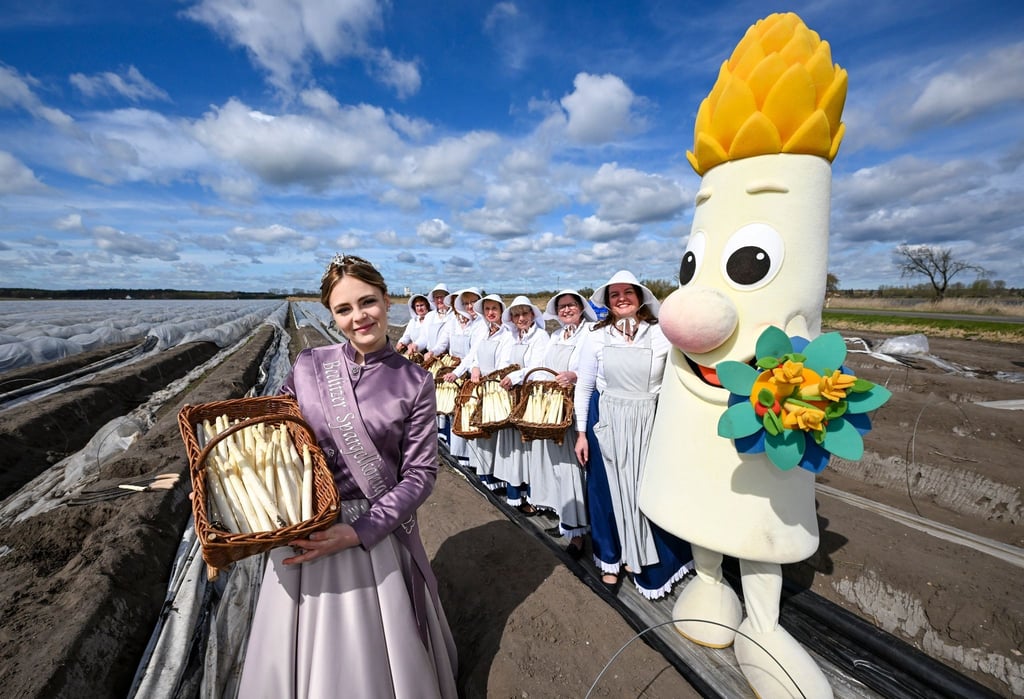 Die neue Spargelkönigin Charlotte Schmidt steht beim Start der Spargelsaison in Brandenburg mit Spargelfrauen und dem Maskottchen Spargelino auf einem Feld.