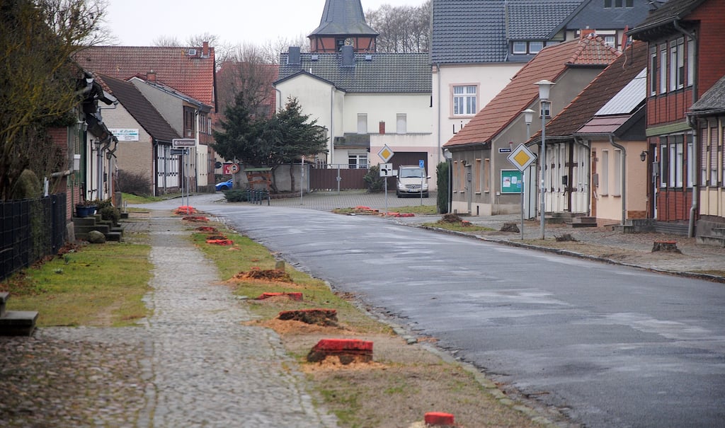 Die Cheinitzer Straße wird ab Mitte Mai grundhaft saniert. Auch Gehwege und Versorgungsleitungen sollen erneuert werden.