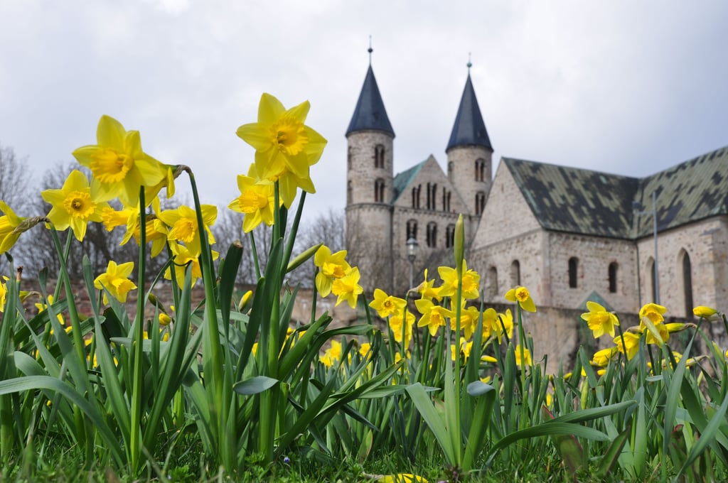 Blick auf das Kloster Unser Lieben Frauen.