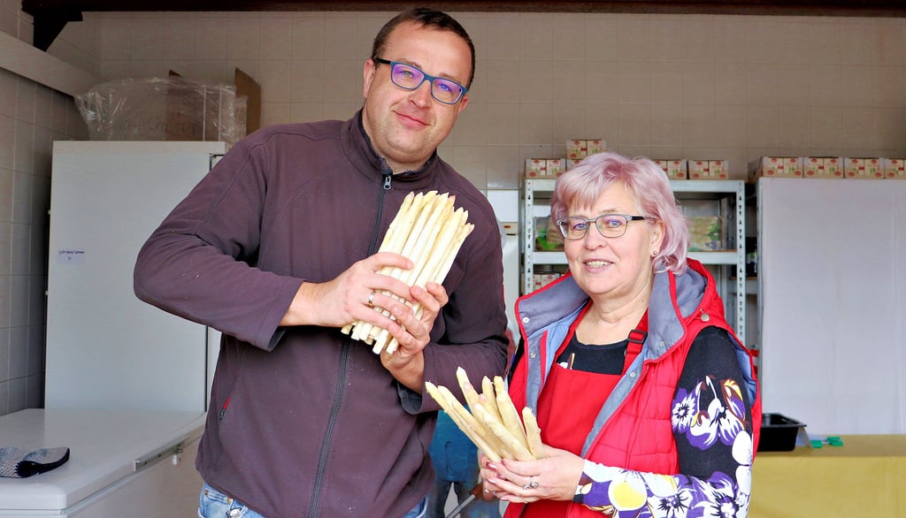 Am 17. April startet der Spargelverkauf der Agrargenossenschaft Hohenseeden/Parchen.