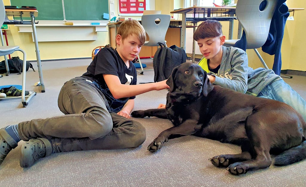 Bevor die nächste Unterrichtsstunde beginnt, noch ein bisschen mit Frieda schmusen. Das entspannt und gibt positive Gefühle. 
