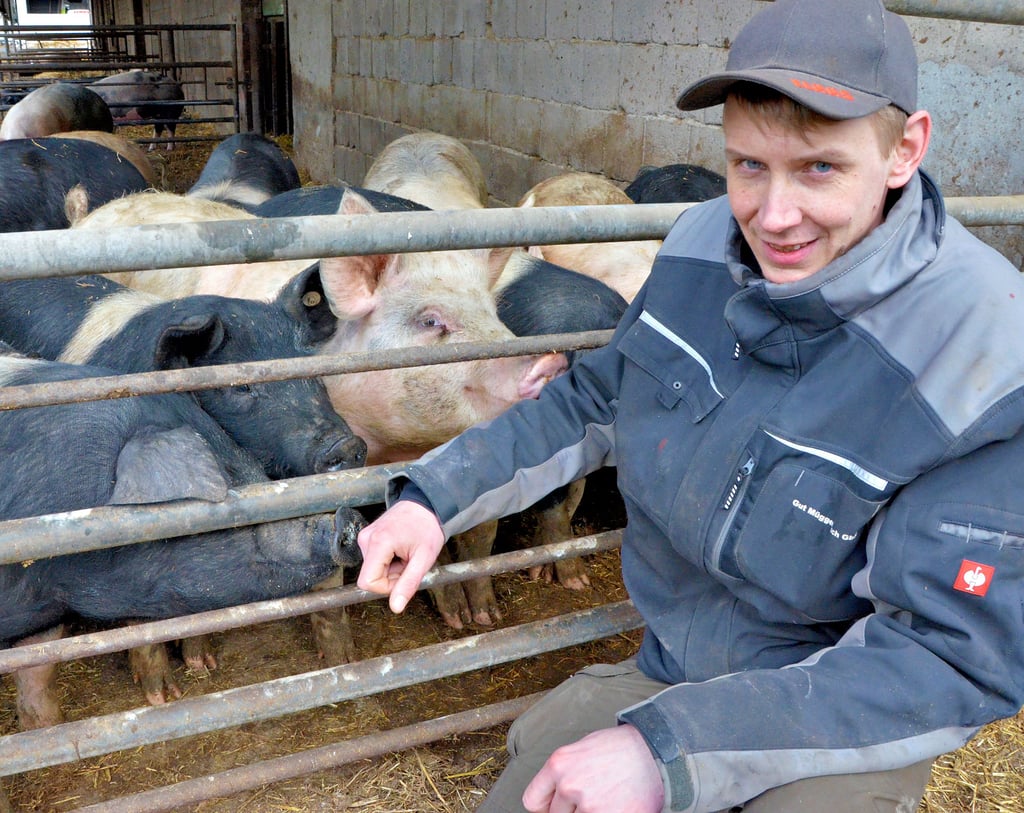 Frerk Arfsten aus Müggebusch bei Havelberg wird sich im Laufe des Jahres bald von seinen Schweinen verabschieden. Bisher hielt er 120 Mastschweine auf seinem Hof. Doch die Kosten für die Tiere seien regelrecht explodiert, beklagt der Landwirt.