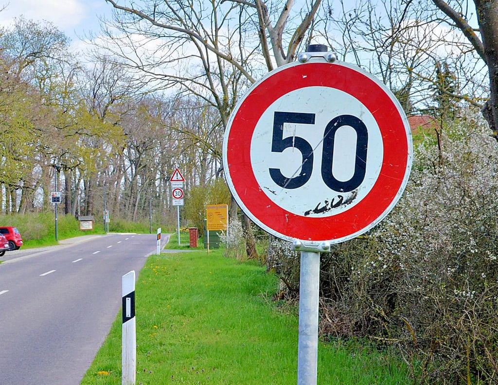 Weil Ranies derzeit kein Ortseingangsschild hat, wurde ein Tempo 50 Schild aufgestellt.