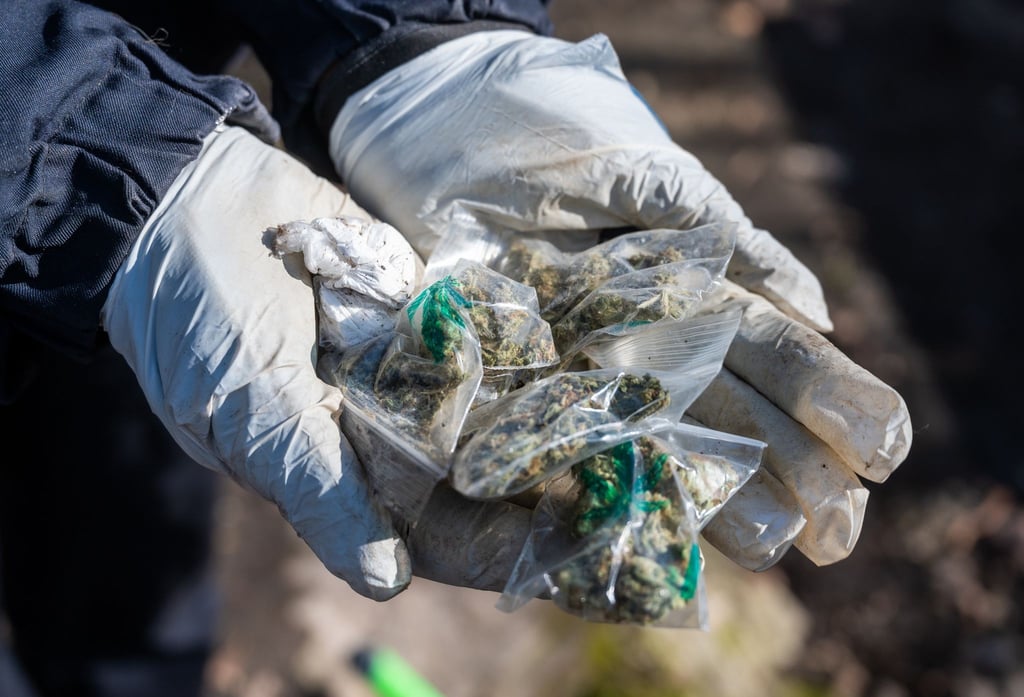 Eine Polizistin hält kleine Tütchen mit Marihuana in den Händen.