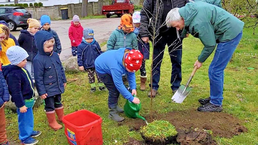 Vor der Kita "Parkspatzen" in Theeßen wurde der Baum des Jahres 2023 gepflanzt.