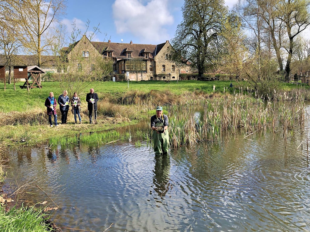 Sven Rumpf setzt zum diesjährigen Auftakt von „Natur zum Anfassen“ auf dem Schulbauernhof Othal eine neue Seerose in den Othaler Teich.
