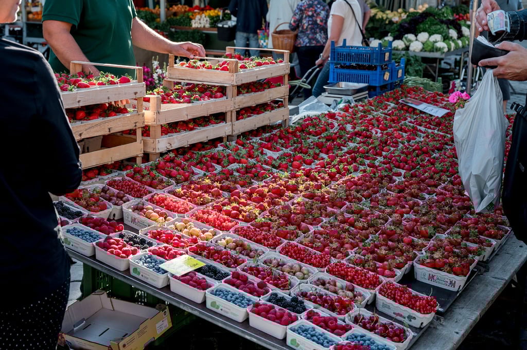 Mancherorts werden die ersten heimischen Erdbeeren der Saison angeboten. Die frühe Ernte stammt jedoch aus Folientunneln.