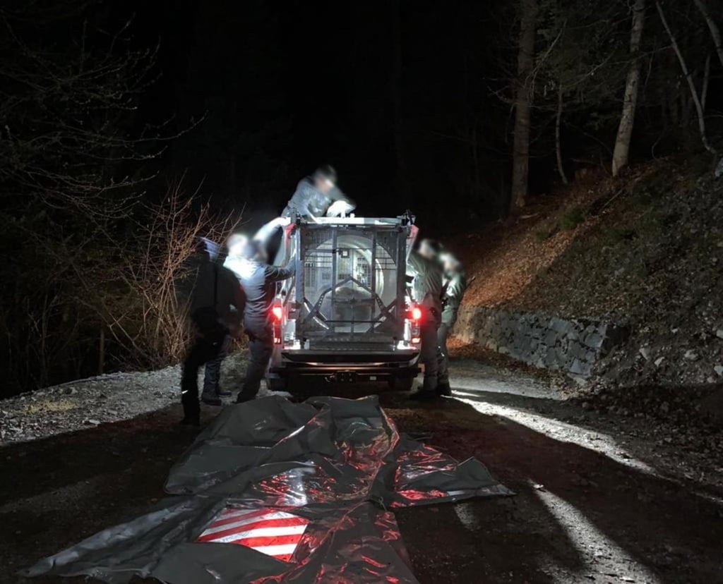 Mitarbeiter des Trentiner Forstkorps bereiten den Transport der Bärin JJ4, die in der Nacht mit Hilfe einer großen Rohrfalle gefasst wurde, in ein Wildreservat vor.