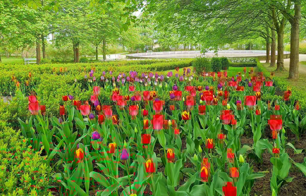 Den frühlingshaften Schlosspark Ballenstedt können die Teilnehmer einer Führung vielleicht nicht sehen, aber fühlen und riechen.