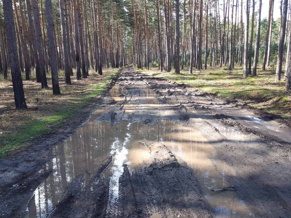 Mit dem Rad oder zu Fuß gibt es auf zahreichen Waldwegen derzeit kein Durchkommen.