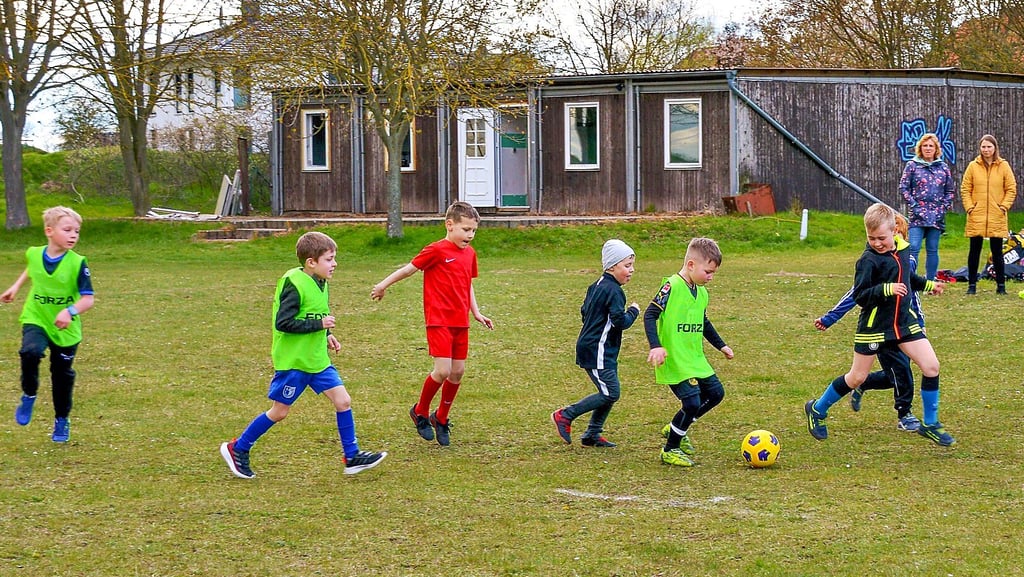 Die blau-weißen Nachwuchskicker aus Wanzleben haben ihr erstes Training auf dem Sportplatz in Domersleben absolviert.