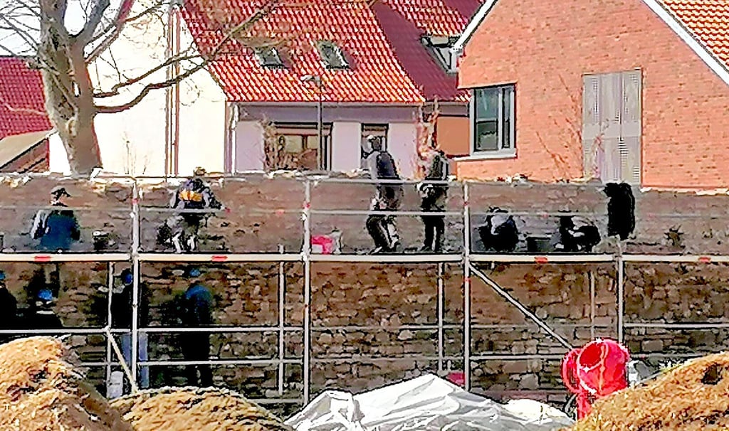 24 Freiwillige der Jugendbauhütte Quedlinburg helfen mit, die historischen Bruchsteinmauer am Verwaltungssitz sanieren.