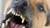 In Wernigerode kam eine Frau einem Hund vor einem Supermarkt offenbar zu nahe und wurde gebissen. Die Polizei im Harz sucht nach dem Herrchen des schwarzen, langhaarigen Hundes.