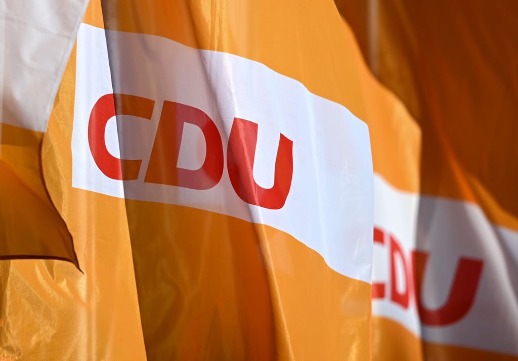Die Landespartei - hier Fahnen am Rande eines Parteitags in Leuna - debattiert über neue Grundsätze.