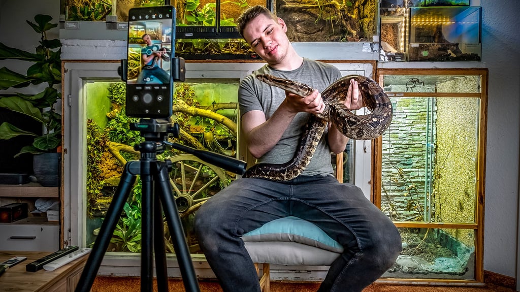 Sandro Goller mit einer Boa Imperator: In seiner Wohnung hat er einen privaten Zoo und züchtet auch bedrohte Arten.