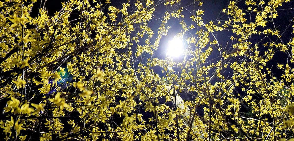 Mit LED-Licht können Kommunen Energiekosten senken. Allerdings muss zuvor in die neue Technik investiert werden.