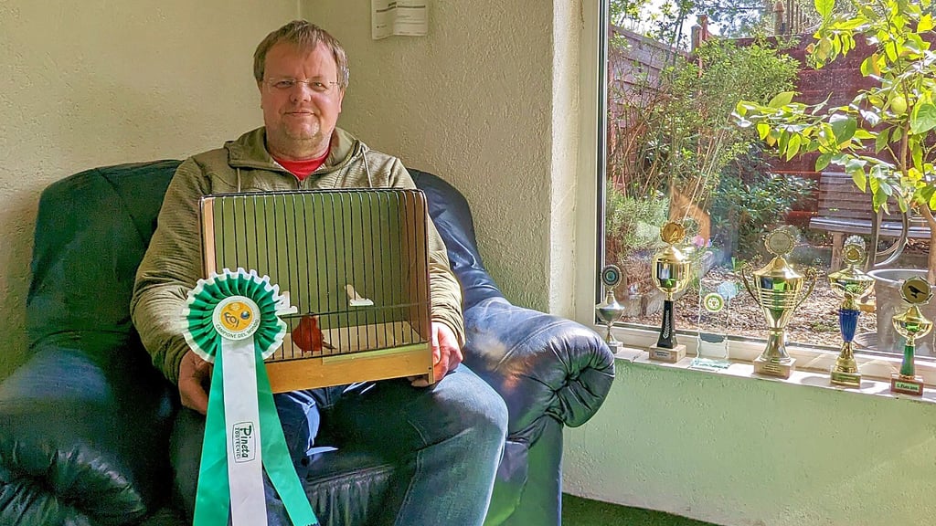 Thomas Schuster mit seinem Weltmeistervogel aus diesem Jahr. Er hat schon viele Pokale in den vergangenen Jahren gesammelt.  