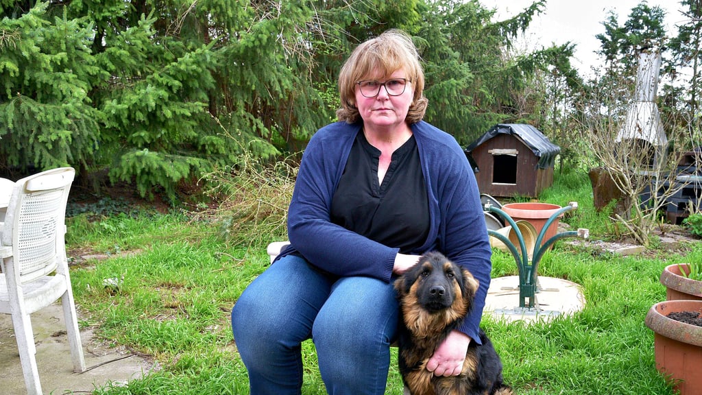 Wo ist Rex? Schäferhund Timmi schmiegt sich an Susanne Ahlers. Er vermisst seinen Bruder, der von Unbekannten auf dem Grundstück von Familie Ahlers in Altenburg erschossen wurde.