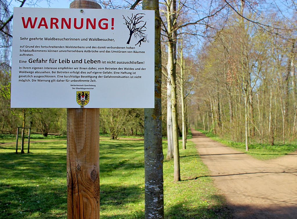 Schilder im Brühlpark weisen schon seit längerem auf die Gefahr durch umstürzende Bäume hin.