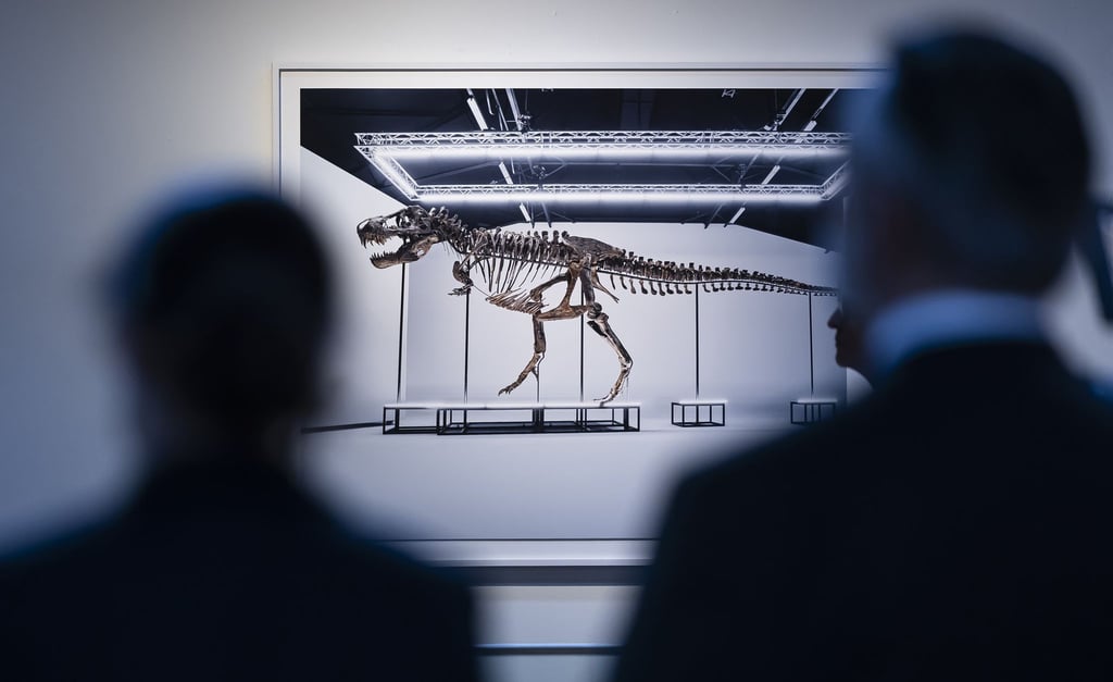 Das in Zürich versteigerte T. rex-Skelett soll in Antwerpen ausgestellt werden.