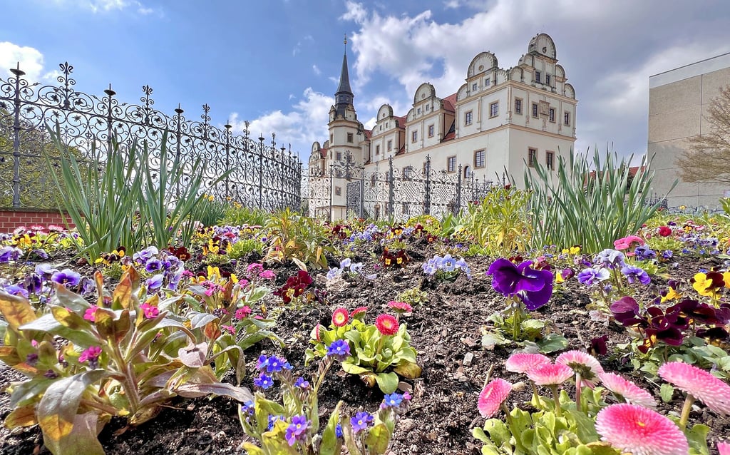 Am Johannbau ist der Frühling eingezogen, ob das auch für das neue Museum gelten wird, ist noch offen.