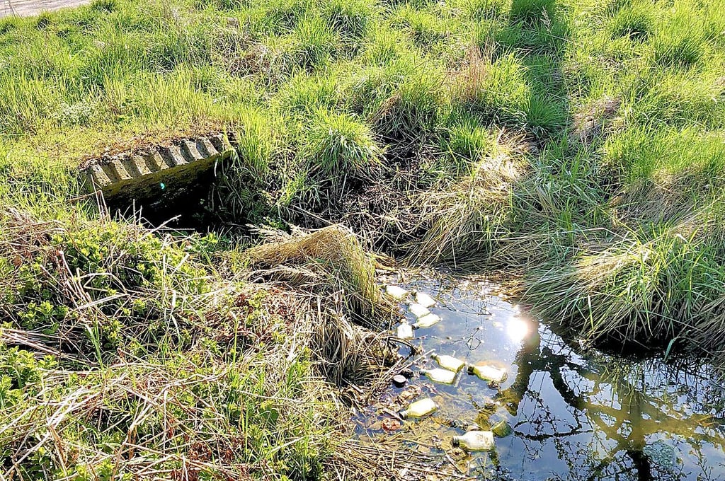 Weggeworfene Flaschen wie hier bei Goldschau sind fast noch das kleinere Übel. In der Natur wird vieles vom Fernseher bis zu Reifen illegal entsorgt.