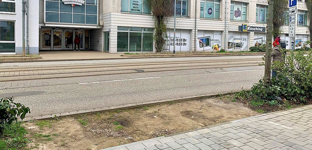 Das Grün am Wegrand gegenüber des Eingangs in die Rathauspassage an der Kühlinger Straße Halberstadts ist weggetrampelt.