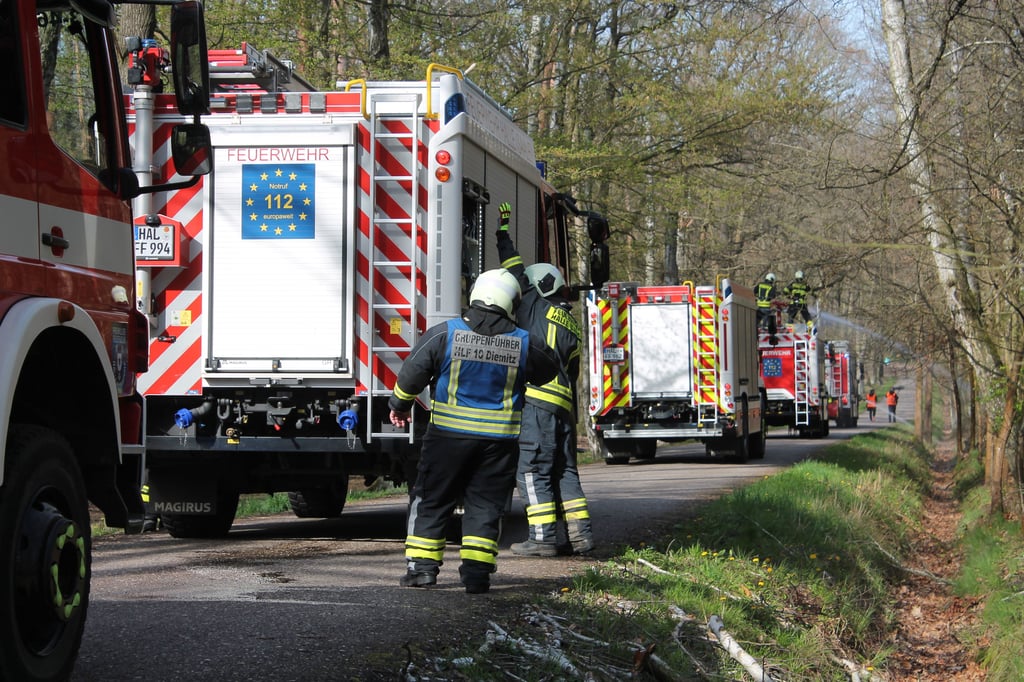Feuerwehrübung in der Dölauer Heide