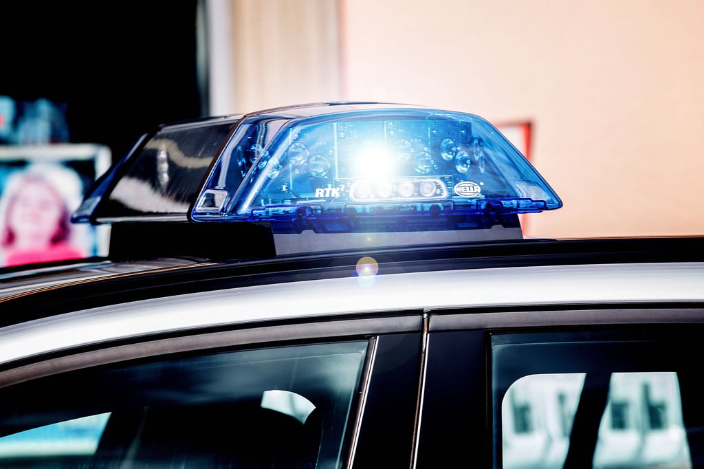 Die Dessauer Polizei war bei einem Diebstahl gefordert.
