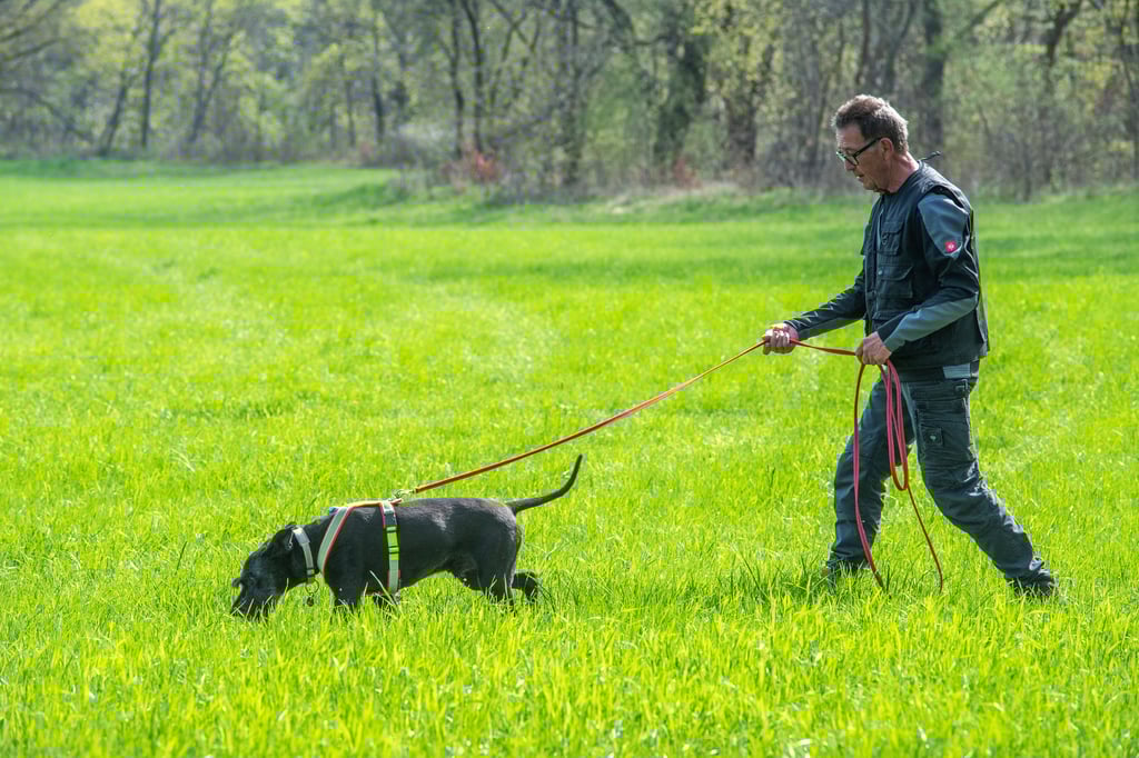 Hundeführer Willi Bötticher mit seinem Schnauzer-Rüden Bonya, den er seit fünf Jahren besitzt. Der Saarländer zählt zu der Gruppe "Archaeo-Dogs", die Ausgrabungen gerufen oder auch von der Polizei angefordert werden.