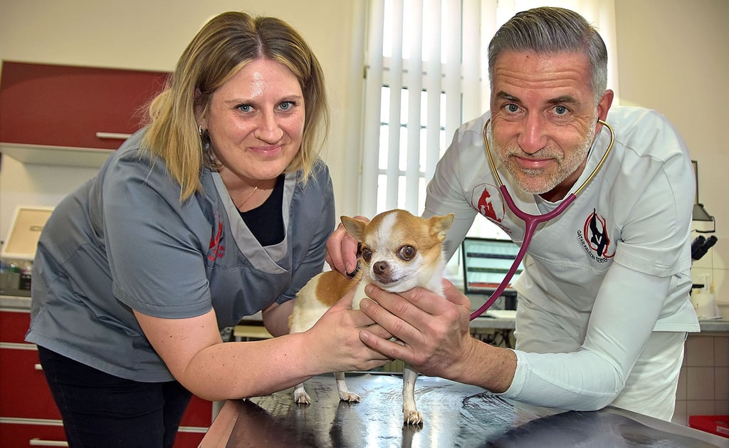 Tierarzt Andres Pohl rät seinen Patienten zu potenten Zeckenschutzmitteln. Denn die Parasiten übertragen Hundemalaria, die für die Vierbeiner tödlich enden kann. Annika Ambrosch, tiermedizinische Fachangestellte, assistiert bei der Untersuchung von Hündin Miss Moneypenny. Foto: A. Roisch