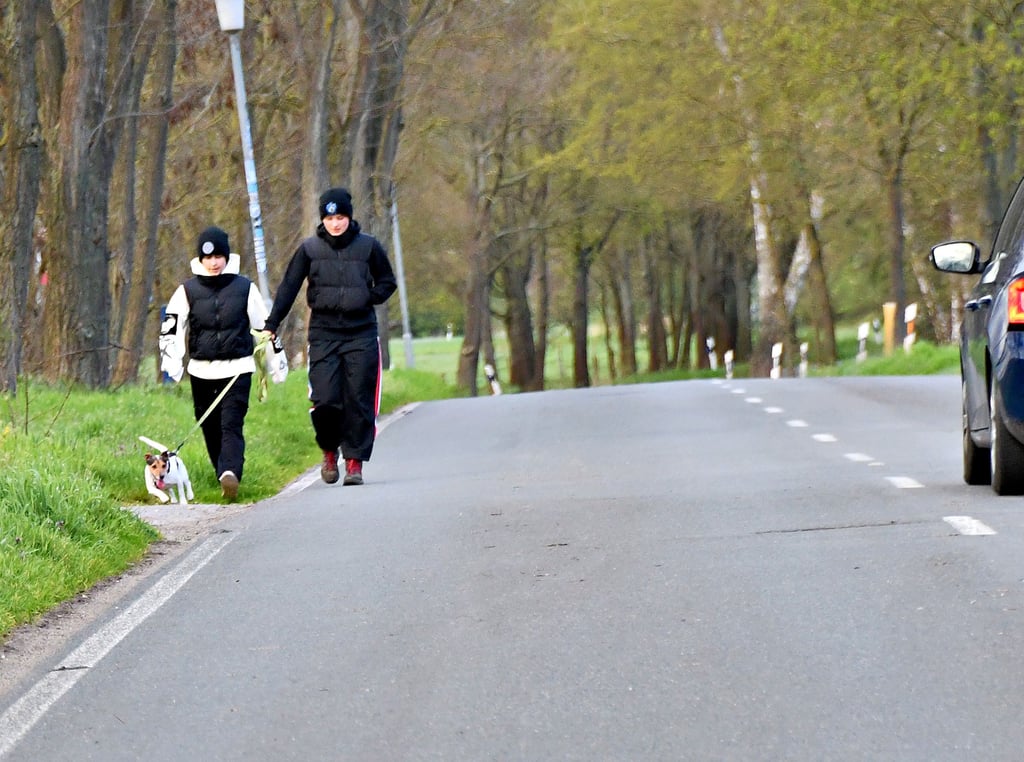 Der Ortschaftsrat Lindstedt hat den Bau eines kombinierten Geh- und Radweges an der Holzhausener Straße, der viel befahrenen Ortsdurchfahrt der L 28, beantragt. Fußgänger und Radfahrer seien dort extrem gefährdet, heißt es.