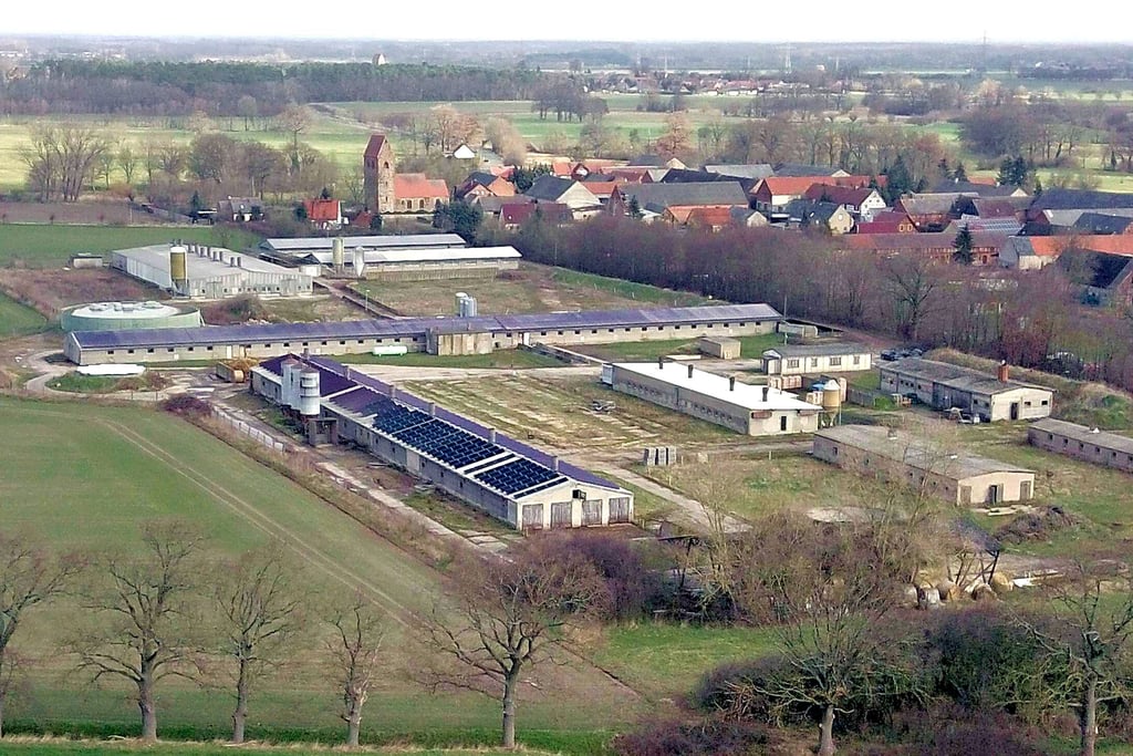 Blick auf die Schweinezucht Polkau: Der Eigentümer des Unternehmens will den Betrieb modernisieren.