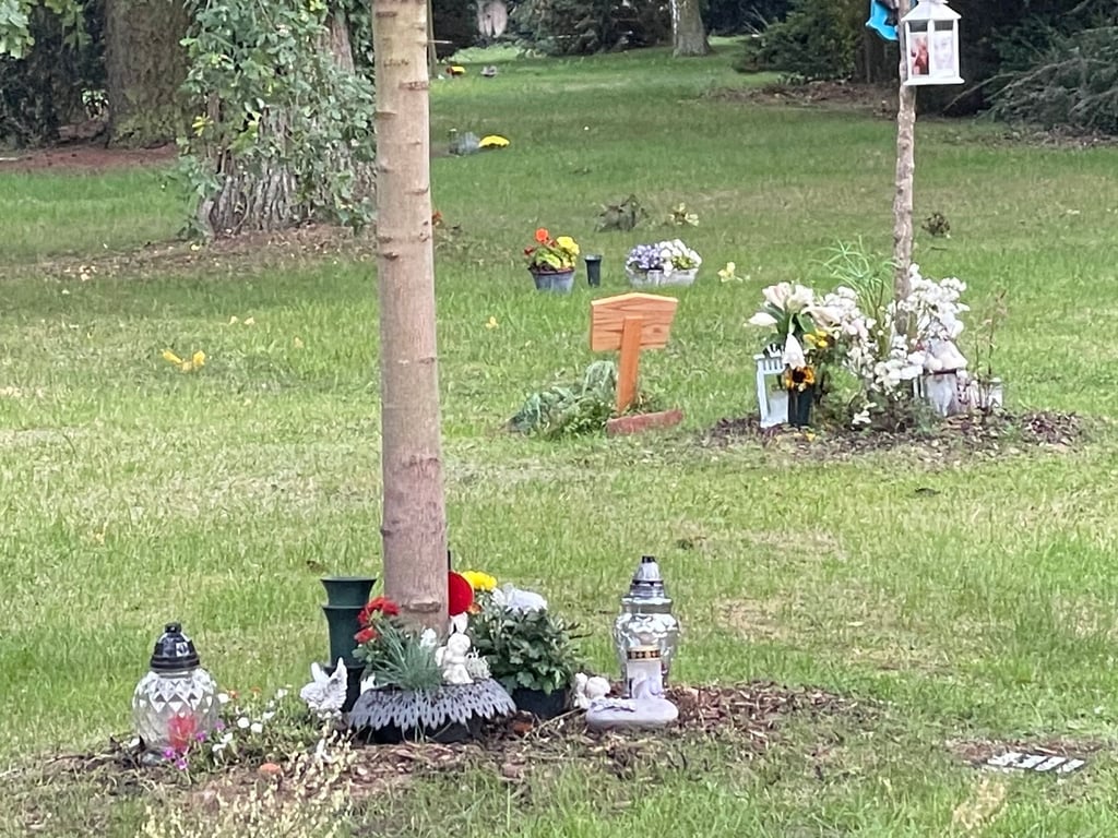 Die Baumgräber auf dem Burger Ostfriedhof werden gestaltet. Das ist jedoch in dieser Form nicht zulässig.