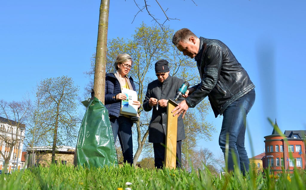 Bianca Burgahn, Frank Trommer und Mario Schulze bringen das Namensschild der Firma apikal Drucklufttechnik aus Wolfen vor der Sumpf-Eiche an.