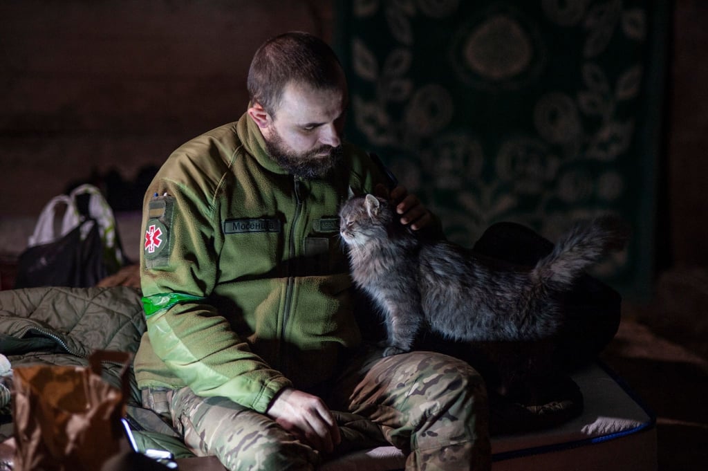 Ein ukrainischer Soldat streichelt in einem Unterstand in der Region Donzek eine Katze.