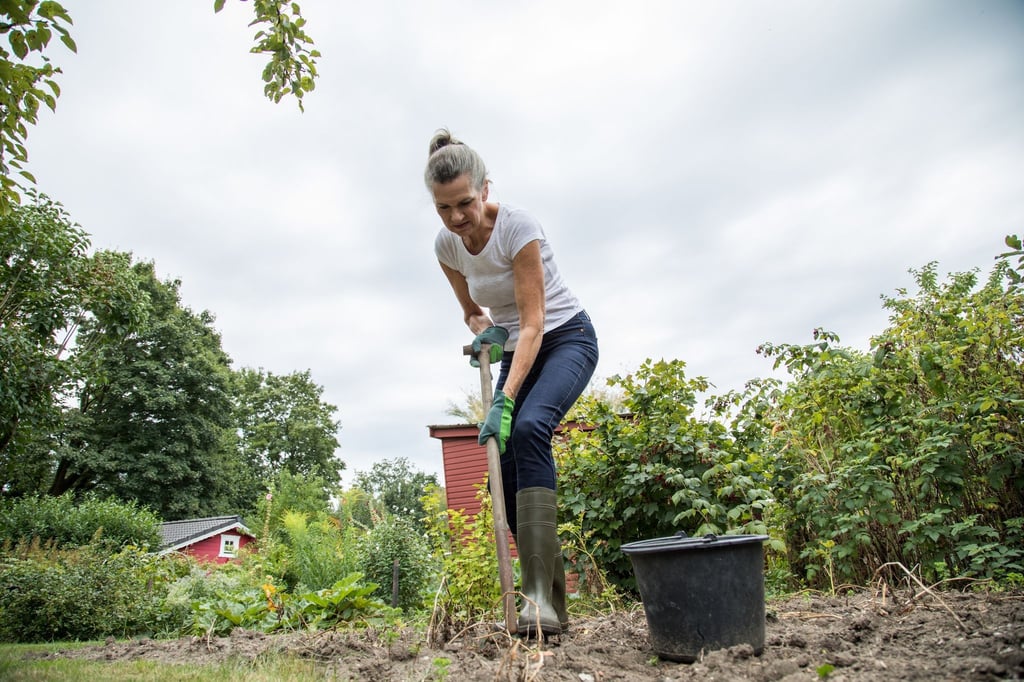 Wir brauchen ihn und er uns: Der Boden ist eines der artenreichsten Ökosysteme der Erde - wenn er denn gesund ist.